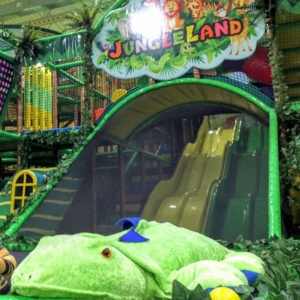Why Host Your Kid’s Birthday Party At Jungle Land